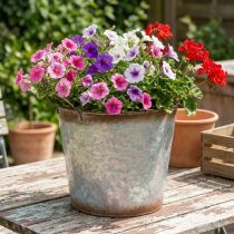 Artikel Bloempot met handvatten, decoratieve schaal met roestkleurige afwerking, zilverkleurige metalen pot Ø26cm H25.5cm