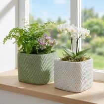 Artikel Plantenbak keramiek wit groen reliëf mesh 17x17cm H15cm 2st