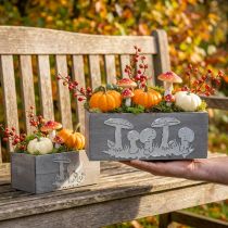 Artikel Houten kistenset paddenstoel, herfstdecoratie, tuindecoratie, plantenbakken L40/30cm, set van 2