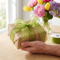 Artikel Chiffonlint organzalint sierlint organza groen 25mm 20m