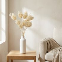 Artikel Gedroogde bloemen crème venkel gebleekt 45cm bos 10 stuks