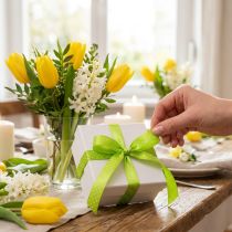 Artikel Cadeaulint gestippeld sierlint mei groen 10mm 25m