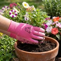 Artikel Kixx tuinhandschoenen maat 7 roze, roze