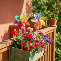 Artikel Pinwheel Kleurrijke Molen Bloemen Stippen Balkon Ø15cm 2st
