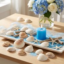 Artikel Schelpdecoratie schelpen wit bruin kokkels 5-7cm 300g