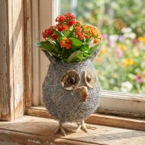 Artikel Plantenmand uilenwijnstok wit gewassen Ø14cm
