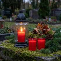 Artikel Navulkaarsen voor graflichten rood H6,5cm 22h 15st
