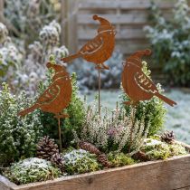 Artikel Tuinsteker vogel met hoed patina decoratie 12cm 6 st