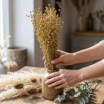 Artikel Gedroogd vlas, gedroogde bloemen, natuurlijk vlas natuurlijke kleur L40-55cm 85g