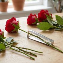 Artikel Rozenontdoorner klassieke zilveren ontdoorner voor rozen 13cm