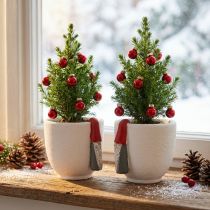 Artikel Kerstpot met kabouter, adventdecoratie, betonnen plantenbak wit, rood Ø8cm H12.5cm 2st