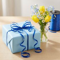 Artikel Krullint blauw 4,8 mm 500m