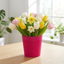 Artikel Geplooide manchetten Cerise 12,5cm 100 stuks