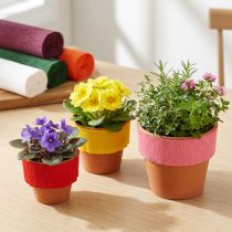 Artikel Cuphuls crêpe als set 95/115/135mm 150st