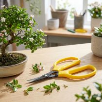 Artikel Oasis bonsai &amp; tang schaar 15.5cm