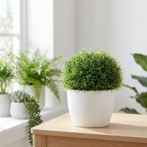 Artikel Grasbal groene decoratieve bal kunst Ø15cm 1 stuk