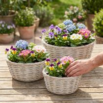 Artikel Set van 3 rieten manden, plantenbakken, decoratieve manden, witgewassen vintage stijl, Ø21,5/26/31 cm voor huis en tuin