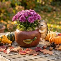 Artikel Plantenbak, appel met egel, herfstdecoratie, cachepot, keramiek Ø16cm H22cm B33cm
