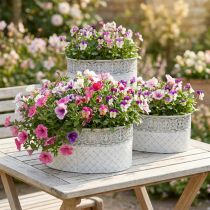 Artikel Bloempot, metalen container met kantpatroon, ovale decoratieve pot, wit en zilver, shabby chic, L41,5/35/29,5 cm H19/16/14,5 cm, set van 3