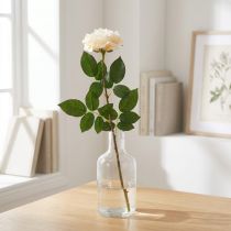 Artikel Roomwitte abrikozenroos, zijden bloem, kunstrozen L72cm Ø12cm