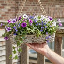 Artikel Hangmand, plantenbak, geweven plantenpot, natuurlijke kleuren, witgewassen, L43,5cm