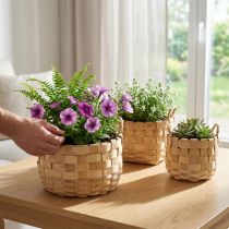 Artikel Natuurlijke plantenmand set van 3, bloemenmand, plantenbak, boho decoratieve mand, gevlochten, Ø18/23/29cm
