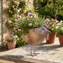 Artikel Bloempot Kip Metaal Vogel Metallic Rosé 51×16×37cm
