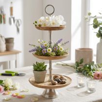 Artikel Taartplateau mangohout naturel tafeldecoratie Ø19/23/28cm H55cm