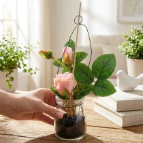 Artikel Roos in een glas Rosa H23cm