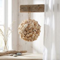 Artikel Schelpdecoratie bal zeeslakken Maritieme decoratie om op te hangen Ø18cm