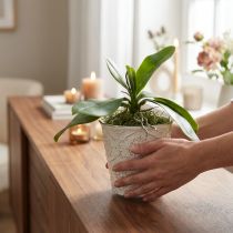 Artikel Orchideeënbladeren met luchtwortels kunstmatig 34x8x18cm