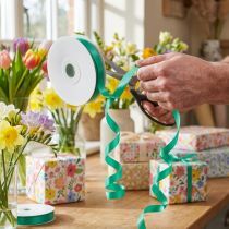 Artikel Krullint groen 15mm 100m
