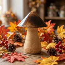 Artikel Decoratieve paddestoel houten paddestoel naturel bruin glanseffect Ø7,5cm H10cm