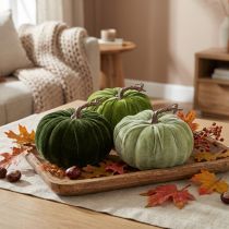 Artikel Decoratieve pompoen herfstgroen donkergroen lichtgroen Ø18cm 3 stuks
