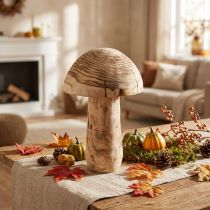 Artikel Grote houten paddestoel decoratieve paddestoel hout Paulownia Ø21cm H33cm