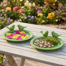 Artikel Decoratief bord vogelbad tafeldecoratie keramiek groen Ø20,5cm 2st