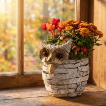 Artikel Uil om te planten wit 23cm