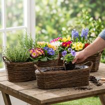 Artikel Plantenmand met handgrepen, ovaal bruin 57/50/42cm, set van 3
