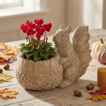 Artikel Bloempot met eekhoorn gegoten stenen decoratie 26×14×19cm
