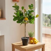 Artikel Kunstcitroenboom in pot, mediterrane flair, onderhoudsvriendelijke kunstplant, decoratieve citrusboom, 57 cm hoog