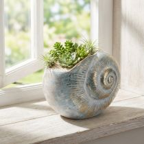 Artikel Decoratieve slakvormige container voor maritieme en natuurlijke wanddecoratie, grijs, 21 cm
