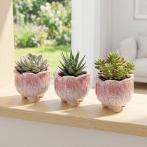 Artikel Mini plantenbak keramiek bloem assorti Ø8cm H7cm 3st