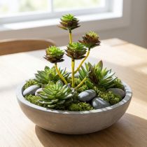 Artikel Succulente pick groen / bruin 35,5 cm