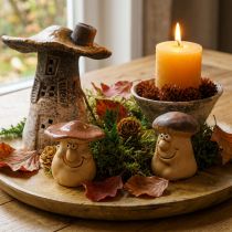 Artikel Herfstdecoratieset egel paddenstoelen draak – koop decoratiebox goedkoop