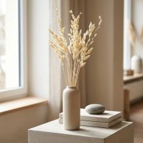 Artikel Platoorgras Chasmantium Champagne 70cm 10 stuks