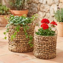 Artikel Set van 2 plantenmanden van zeegras en waterhyacint Ø31/26cm - decoratieve mand, bloemenmand, opbergruimte, milieuvriendelijk, natuurlijk