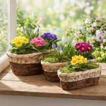 Artikel Plantenbak, natuurlijk hout, 3-kleurig, L29,5/25/23cm, set van 3