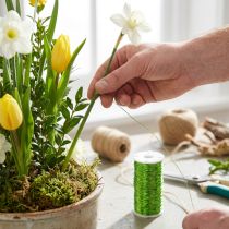 Artikel Bouillon effect draaddecoratie Ø0.30mm 100g 140m appelgroen bloemistendraad knutseldraad