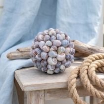 Artikel Decoratieve bol, schelpdesign, natuurlijke maritieme decoratie, Ø19cm