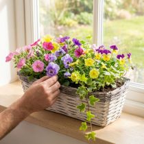 Artikel Geweven Mand Wit, Bruin Plantenmand 41×17×12.5cm